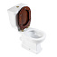 Унитаз-компакт BelBagno Boheme BB115CPR горизонтальный выпуск - фото 3