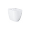 Биде подвесное Grohe Essence 3957500H с гигиеническим покрытием - фото 1