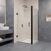Душевой уголок RGW Passage 41083682-014 120x80x195 прозрачное/черный