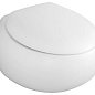 Чаша для унитаза подвесного Villeroy & Boch Pure Stone 567010R1