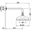 Верхний душ Cisal Shower DS01340127 210 бронза - фото 2