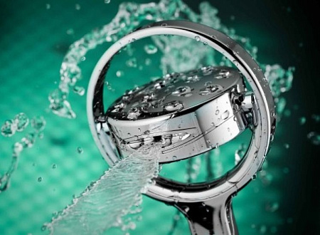 Душевая лейка Jacob Delafon Flipside E17493-CP