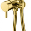 Гигиенический душ со смесителем Boheme Uno 467-G для биде, золото - фото 1