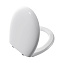 Крышка-сиденье VitrA Memoria 106-003R009 микролифт, белый