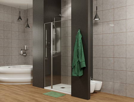 Душевая дверь Allen Brau Priority 3.31006.BBA 100 черный браш