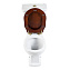 Унитаз-компакт BelBagno Boheme BB115CPR горизонтальный выпуск - фото 2