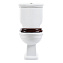 Унитаз-компакт BelBagno Boheme BB115CPR горизонтальный выпуск - фото 4