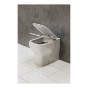 Унитаз приставной BelBagno Vaso BB127CB Унитаз приставной BelBagno Vaso BB127CB
