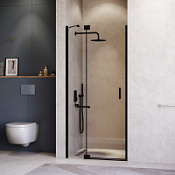 Душевая дверь RGW Hotel HO-014B 350601412-14 120x200 прозрачное/черный