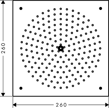 Верхний душ Hansgrohe Raindance 26481000 хром